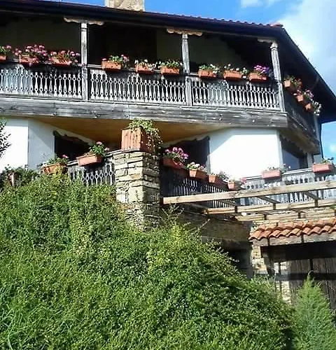 게스트하우스 Vila Nikolina